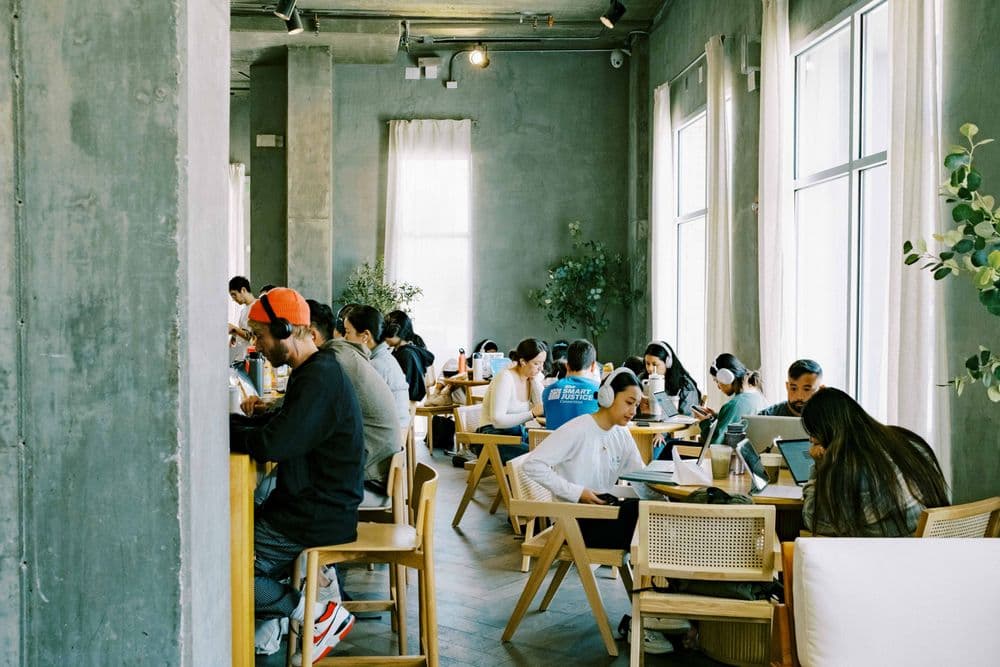 Bonsai Coffee Bar — WiFi Portal in action